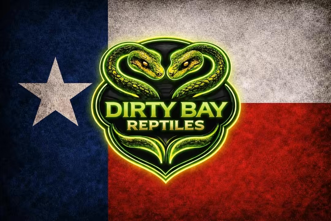 Dirty Bay Reptiles logo