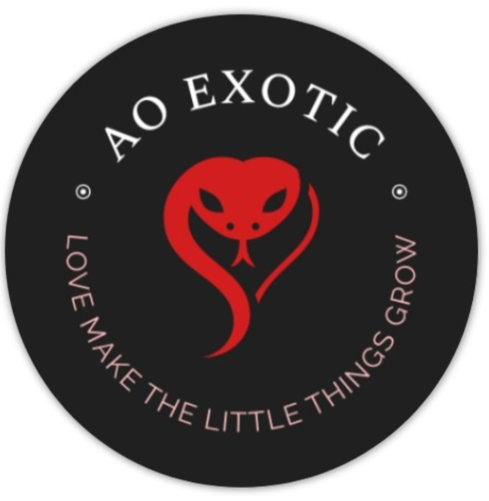 AO Exotic logo