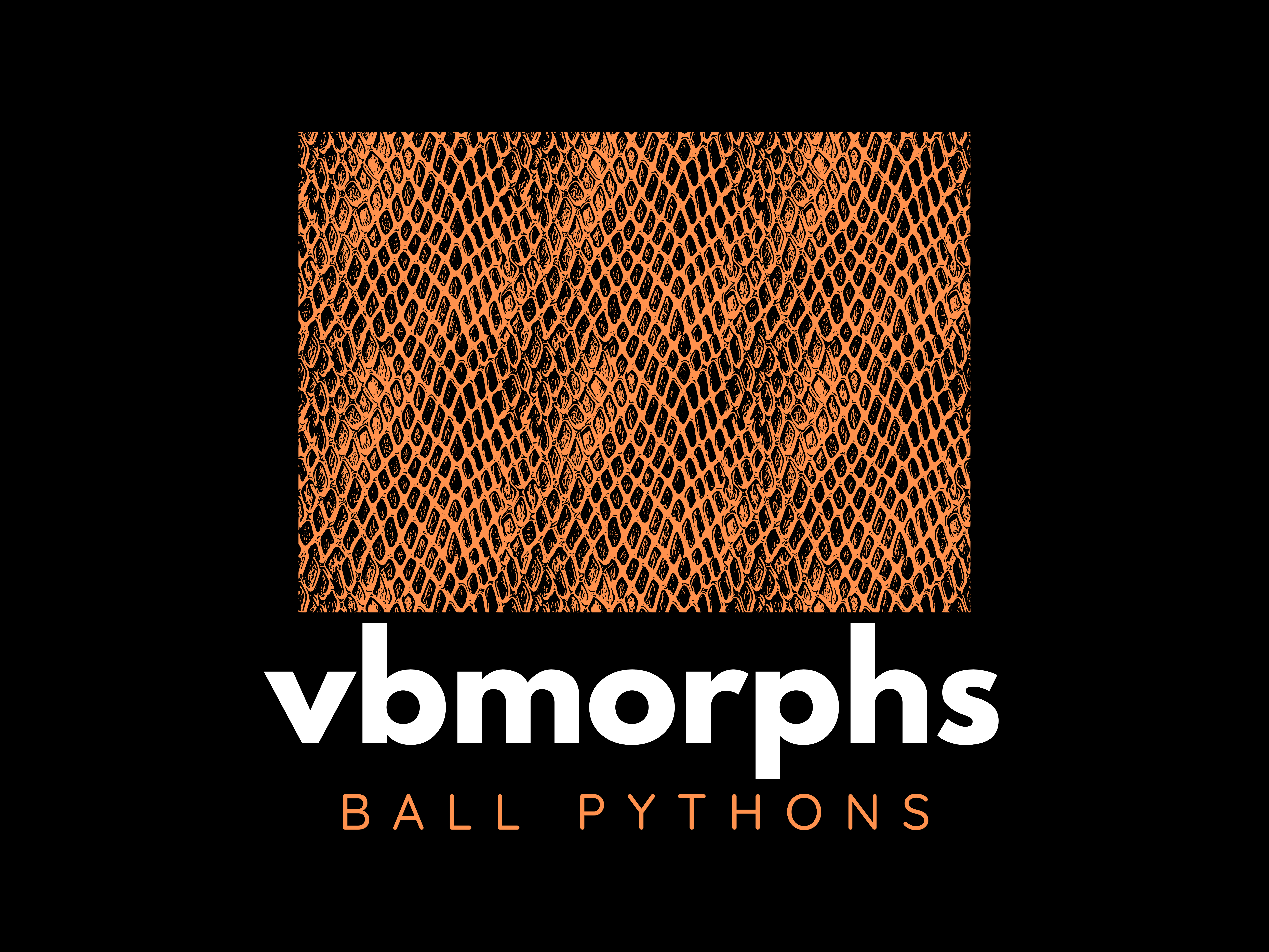vbmorphs logo