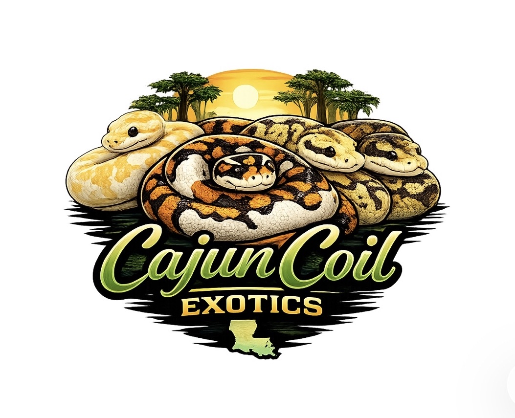 Cajun Coil Exotics logo