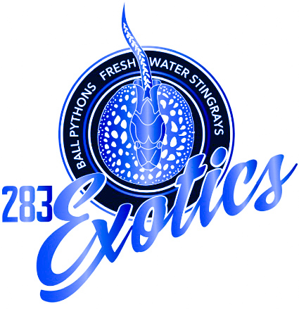 283Exotics logo