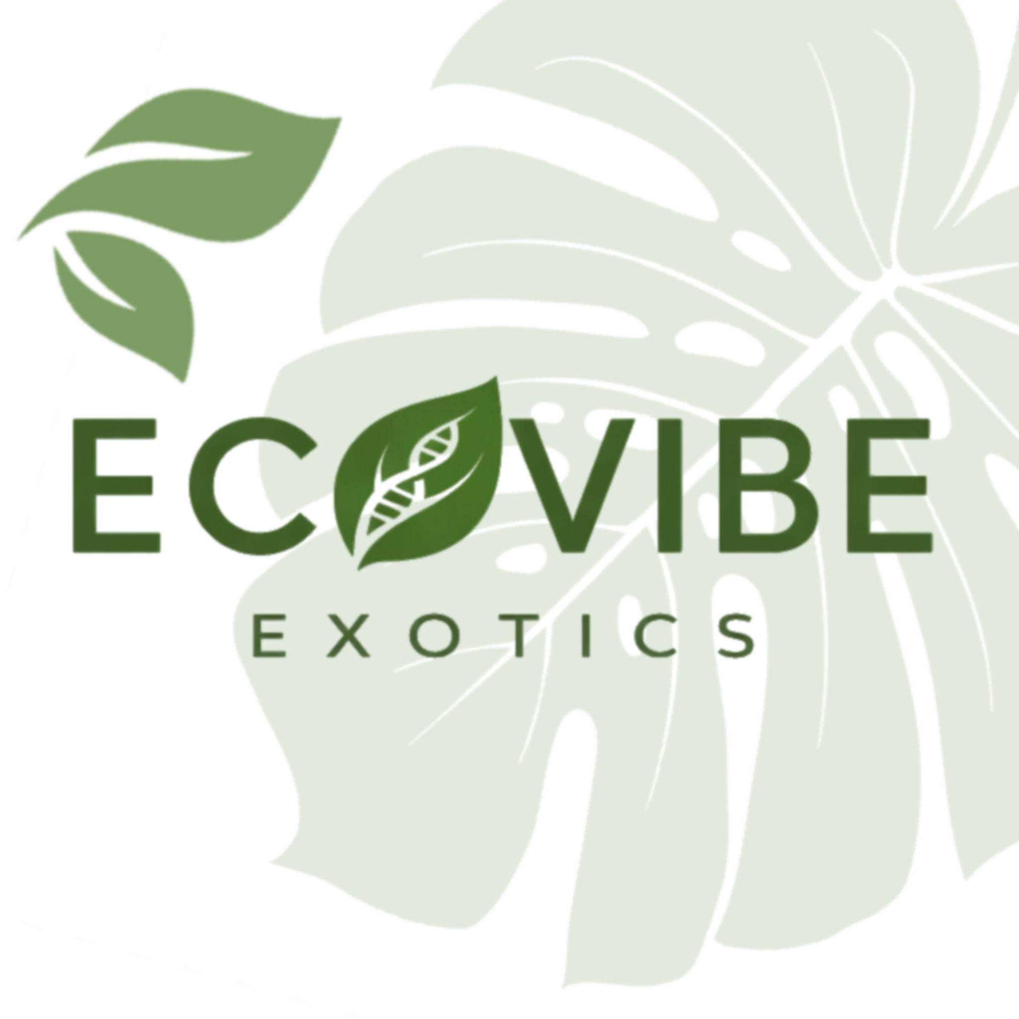 EcoVibe Exotics logo