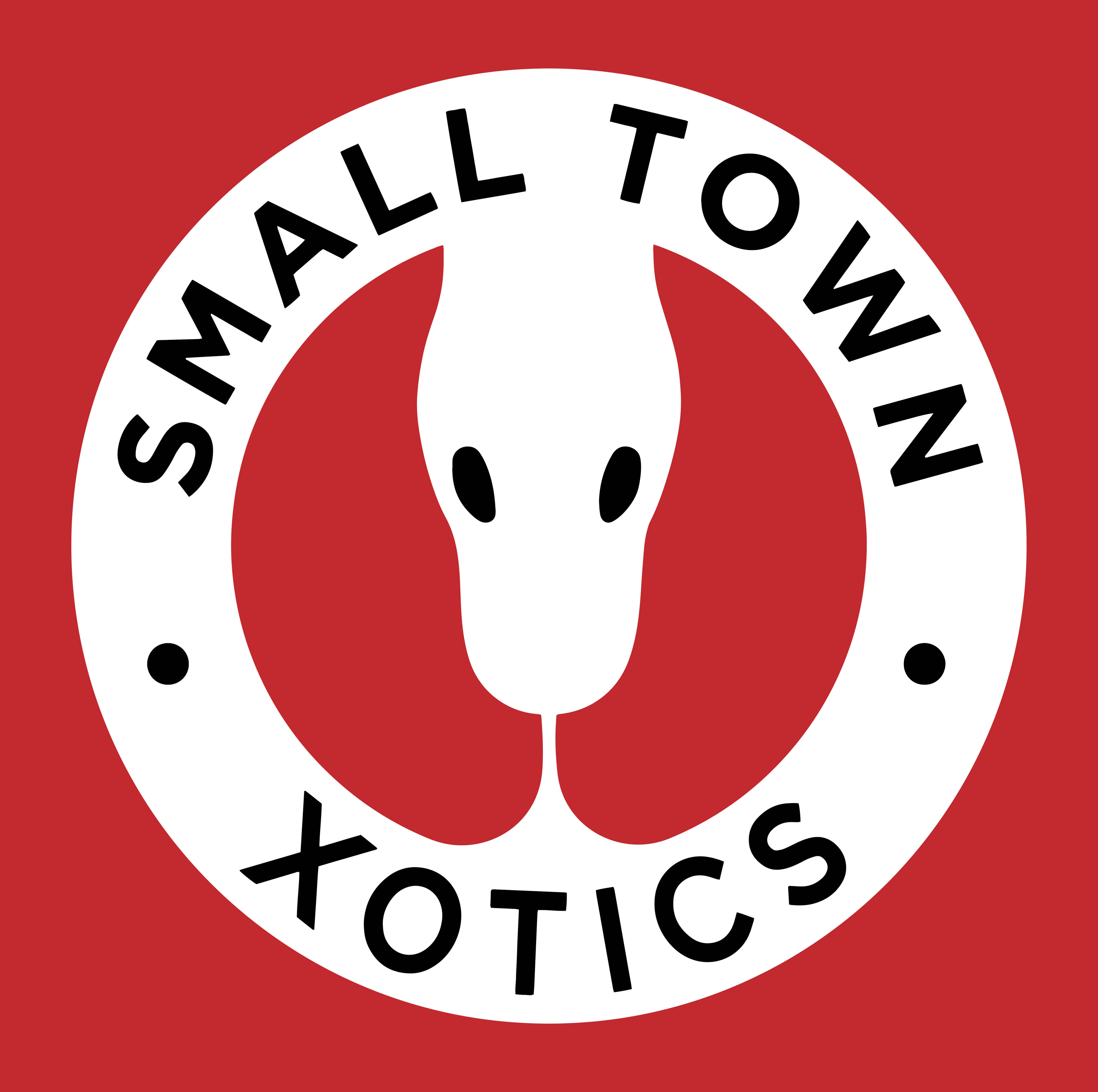 Small Town Xotics logo
