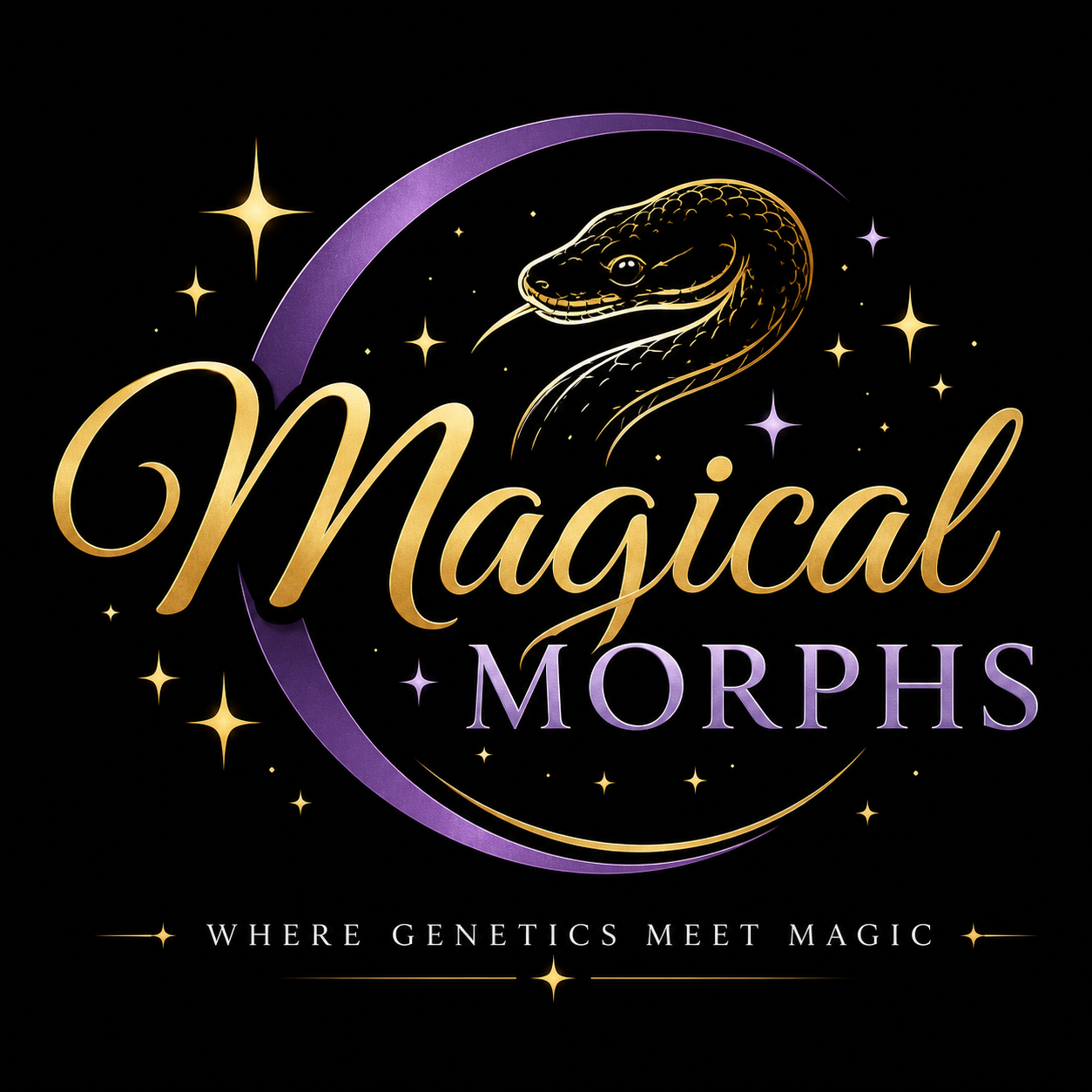 Magical Morphs logo