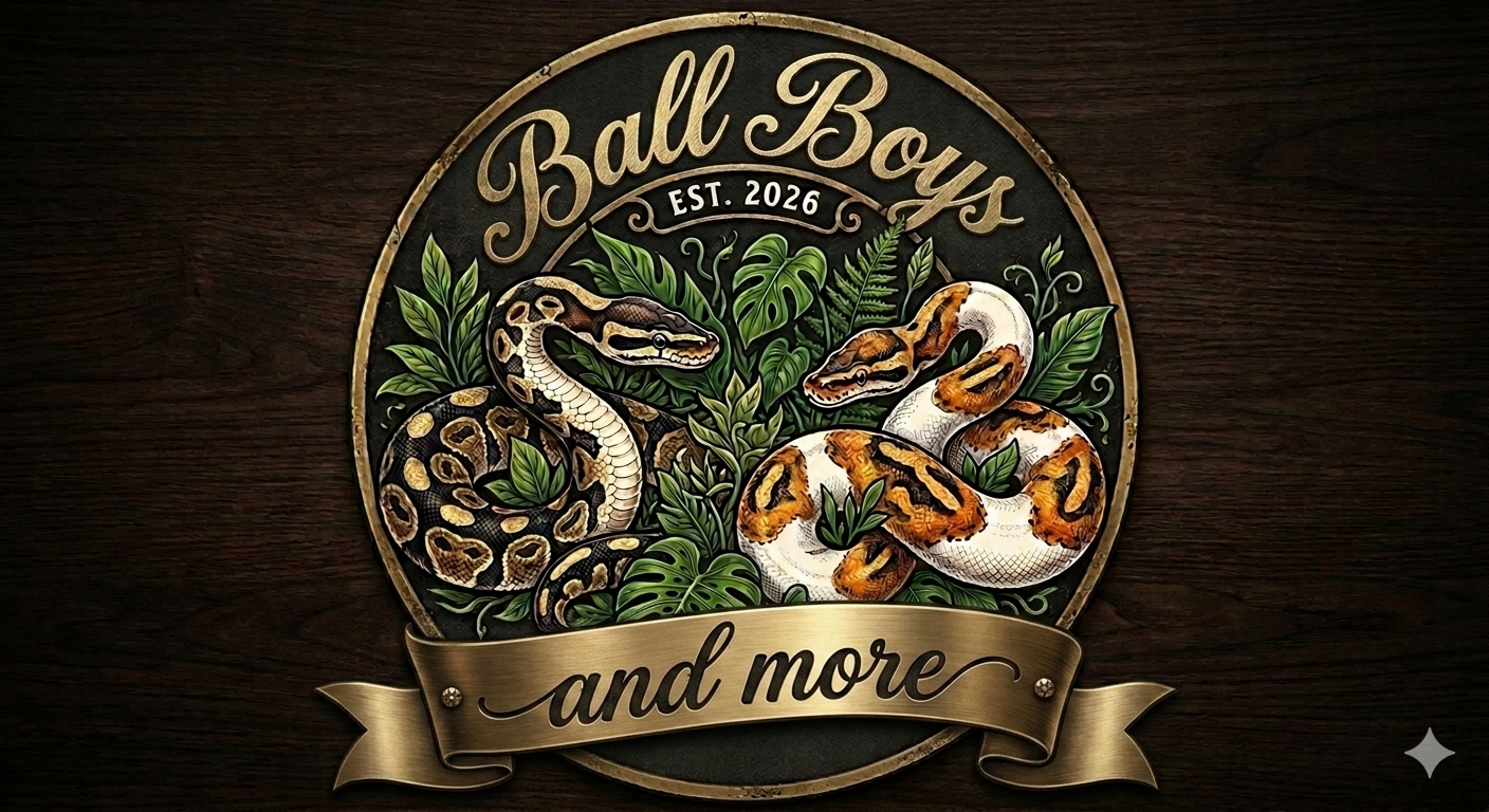 Ball Boys and more logo