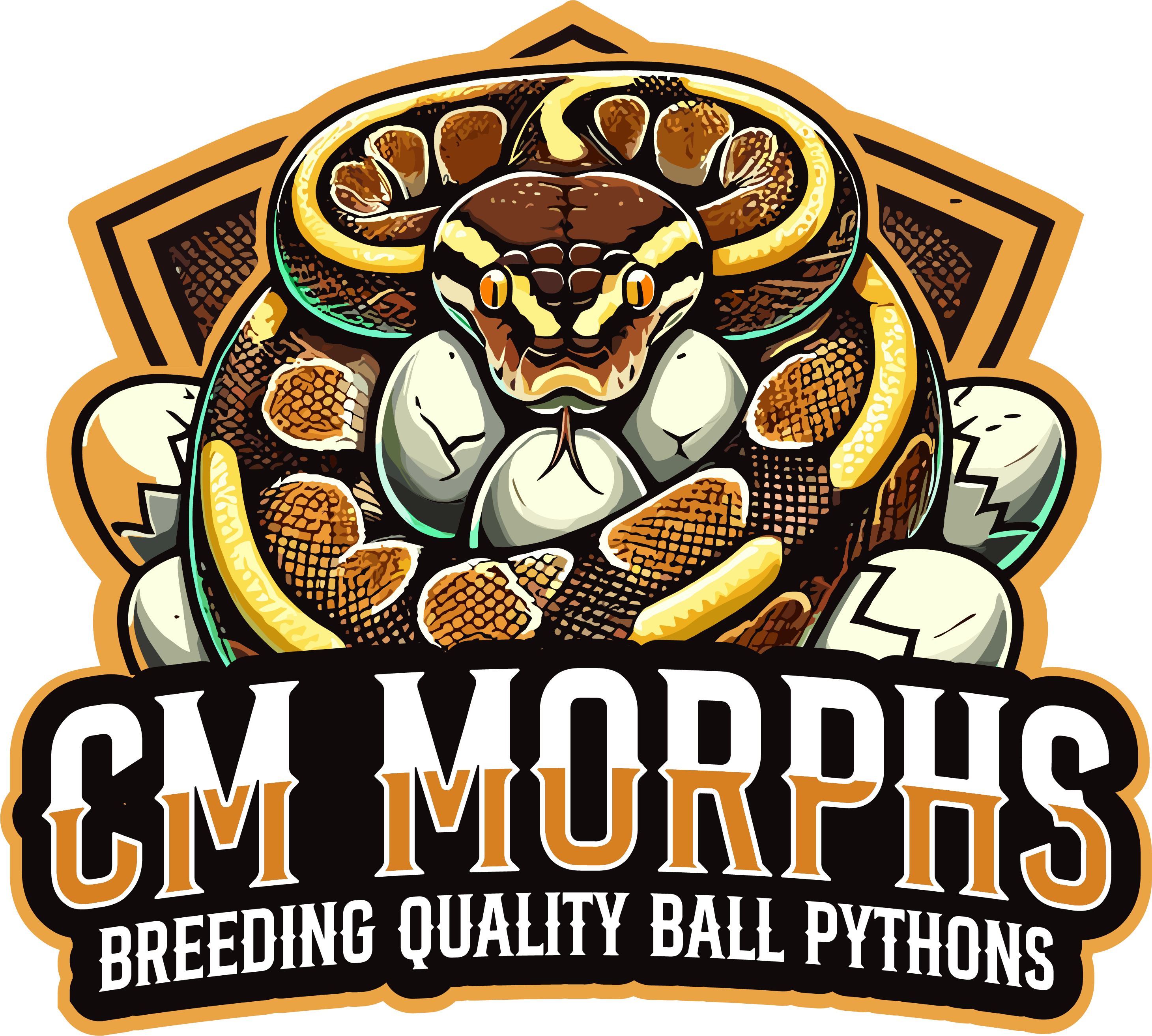 CM MORPHS logo