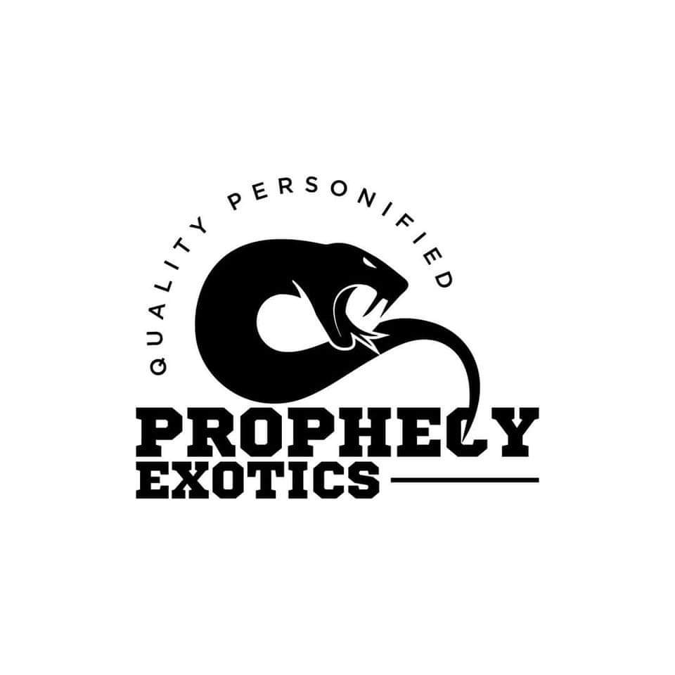 Static morphs & prophecy exotics logo